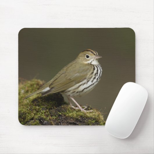 Ovenbird Mousepad Muismat (Met muis)