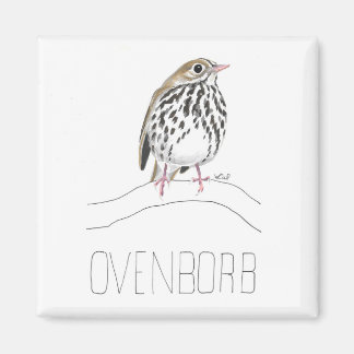 Ovenborb (Ovenbird) Magneet