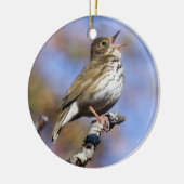 Ovenvogel Keramisch Ornament (Links)