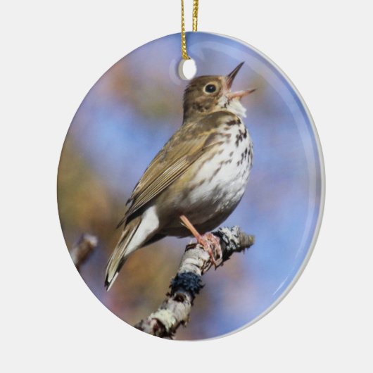 Ovenvogel Keramisch Ornament (Links)