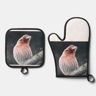 OVENWANTEN EN POTHOUDER - VINK OVENWANT & PANNENLAP SET