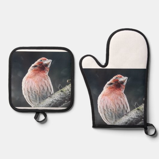 OVENWANTEN EN POTHOUDER - VINK OVENWANT & PANNENLAP SET (Voorkant)