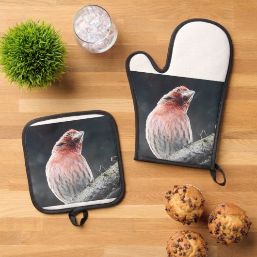 OVENWANTEN EN POTHOUDER - VINK OVENWANT & PANNENLAP SET (Top down)