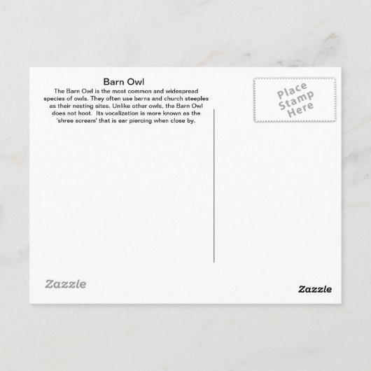 Over Barn Owl Briefkaart (Achterkant)