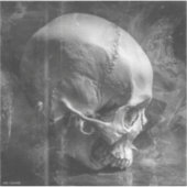 Over Bite — Gothic Fine Art  Sticker (Voorkant)