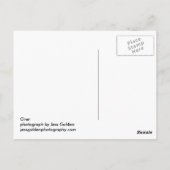 Over Briefkaart (Achterkant)