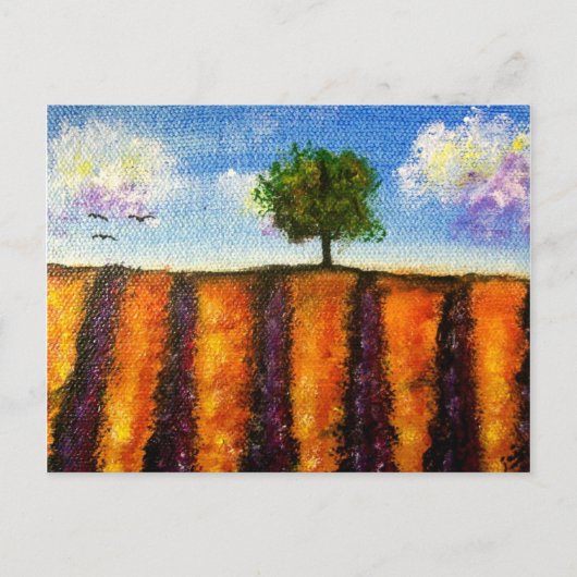 Over de Briefkaarten van de Gebieden van de Lavend (Voorkant)