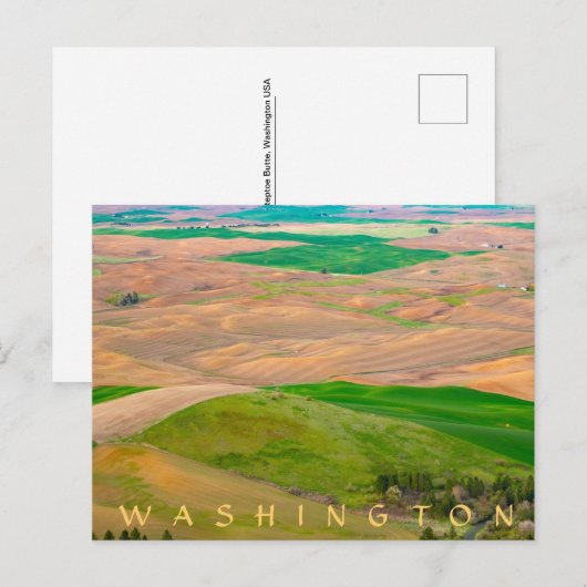 Over de geverfde paleis van Stepteen Butte Briefkaart (Voorkant / Achterkant)