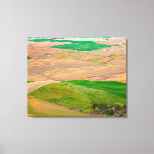 Over de geverfde paleis van Stepteen Butte Canvas Afdruk