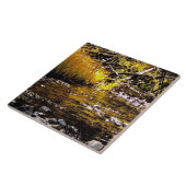 Over de Golden Water Creek Tile Tegeltje (Zijkant)