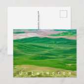 Over de Groene Palouse van Steptoe Butte Briefkaart (Voorkant / Achterkant)
