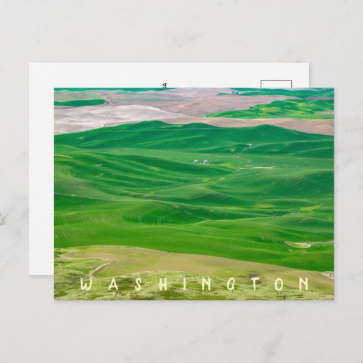 Over de Groene Palouse van Steptoe Butte Briefkaart (Voorkant / Achterkant)