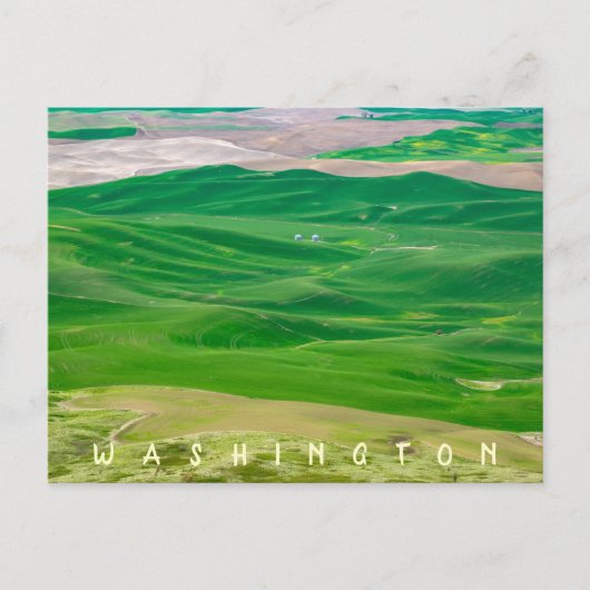 Over de Groene Palouse van Steptoe Butte Briefkaart (Voorkant)