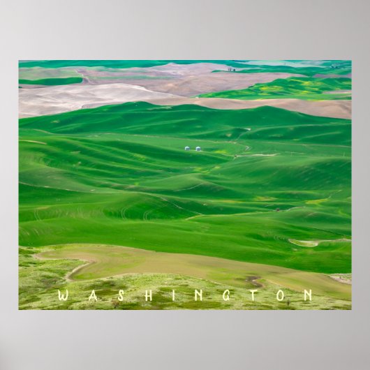 Over de Groene Palouse van Steptoe Butte Poster (Voorkant)