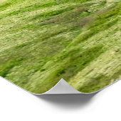 Over de Groene Palouse van Steptoe Butte Poster (Hoek)