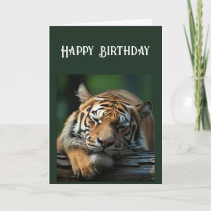 Over de heuvel Serieus Big Cat Nap Kaart