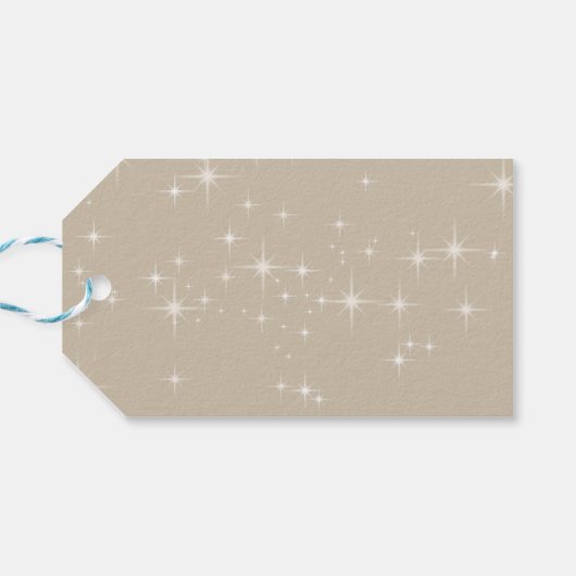 Over de Maan Teddbeer Hemelse Baby Shower Cadeaulabel (Achterkant Horizontaal)