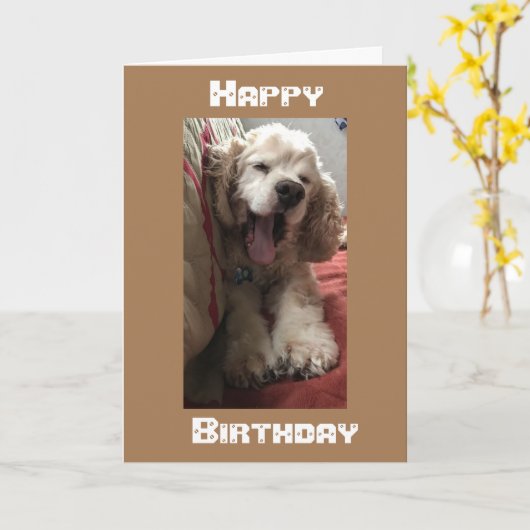 *OVER DE MELEN* WIST DAT HET IN PERSOON WAS, VANDA KAART (Gele Bloem)