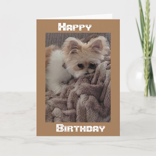 *OVER DE MELEN* WIST DAT HET IN PERSOON WAS, VANDA KAART (Voorkant)