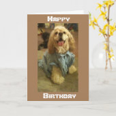 *OVER DE MELEN* WIST DAT HET IN PERSOON WAS, VANDA KAART (Gele Bloem)