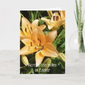 Over de mijlen Pasen Feestdagen Kaart (Voorkant)