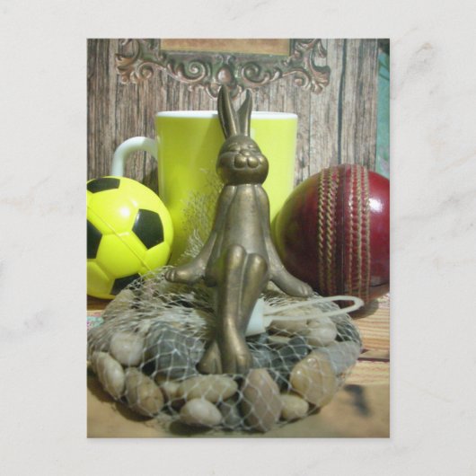 Over de Pitch & Crease: Football Cricket Blend Briefkaart (Voorkant)