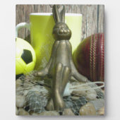 Over de Pitch & Crease: Football Cricket Blend Fotoplaat (Voorkant)