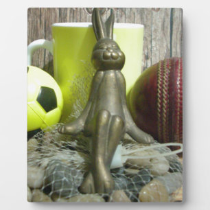 Over de Pitch & Crease: Football Cricket Blend Fotoplaat