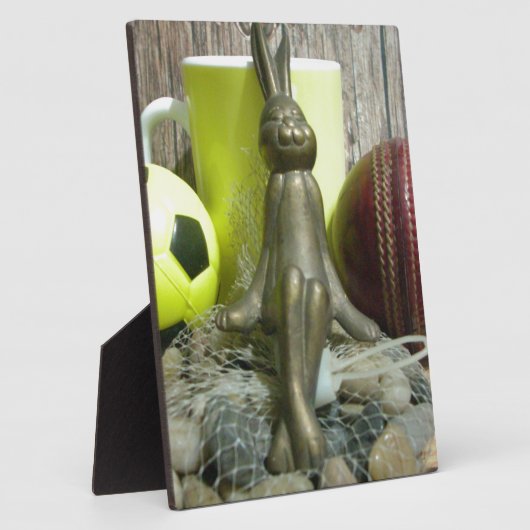 Over de Pitch & Crease: Football Cricket Blend Fotoplaat (Zijkant)