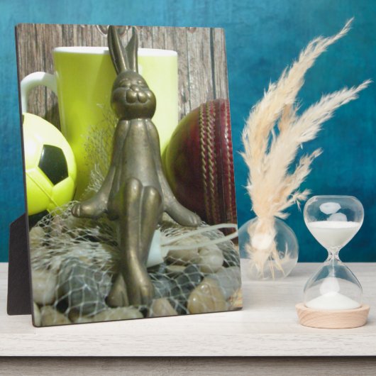 Over de Pitch & Crease: Football Cricket Blend Fotoplaat (Zijkant)