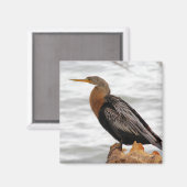 Over de Raadpleging Magneet (Voorkant / Achterkant)