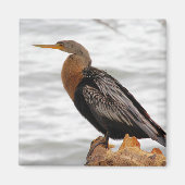 Over de Raadpleging Magneet (Voorkant)