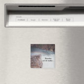 Over de regenboog magneet (Insitu (Vaatwasser))