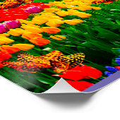 OVER DE REGENBOOG PERFECT POSTER (Hoek)