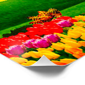 OVER DE REGENBOOG PERFECT POSTER (Hoek)
