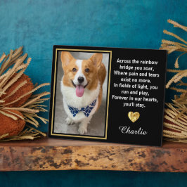 Over De Regenboogbrug Gouden Hond Dierenbegrafenis Fotoplaat