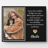 Over de regenboogbrug King Charles Spaniel Fotoplaat (Voorkant)