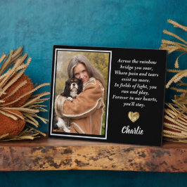 Over de regenboogbrug King Charles Spaniel Fotoplaat