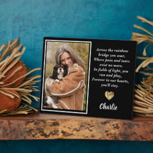 Over de regenboogbrug King Charles Spaniel Fotoplaat