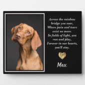 Over de Regenboogbrug Vizsla Dog Fotoplaat (Voorkant)