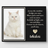 Over de Regenboogbrug White Pet Cat Dog Fotoplaat (Voorkant)