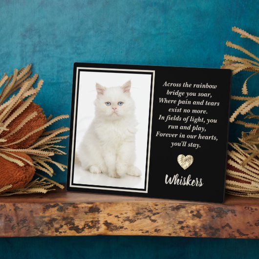 Over de Regenboogbrug White Pet Cat Dog Fotoplaat (Zijkant)