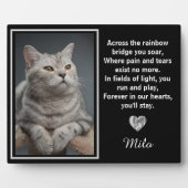 Over De Regenboogbrug Zilveren Huisdierhond Herden Fotoplaat (Voorkant)