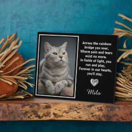 Over De Regenboogbrug Zilveren Huisdierhond Herden Fotoplaat