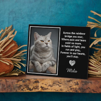 Over De Regenboogbrug Zilveren Huisdierhond Herden Fotoplaat