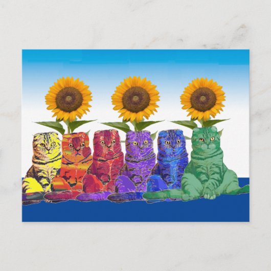 Over de regenboogkatten briefkaart (Voorkant)