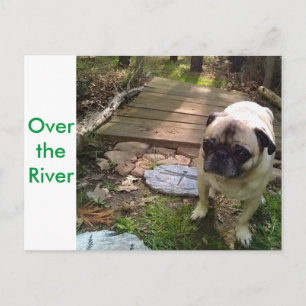 Over de rivier briefkaart