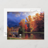 Over de Saco Briefkaart (Voorkant / Achterkant)