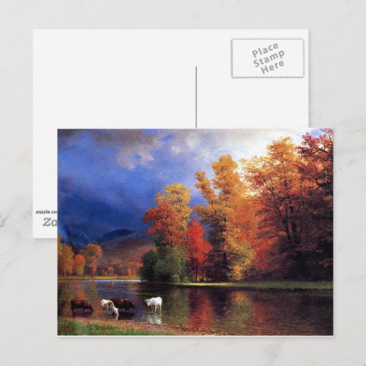 Over de Saco Briefkaart (Voorkant / Achterkant)