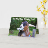 Over de top-geitendag kaart (Gele Bloem)